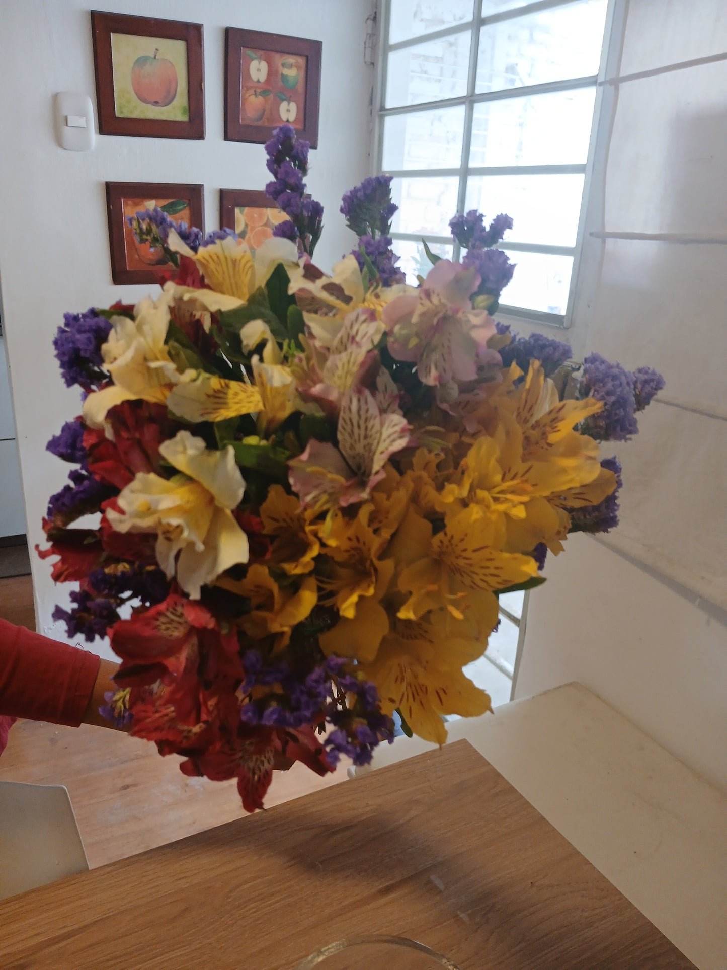 Astromelia 4 colores