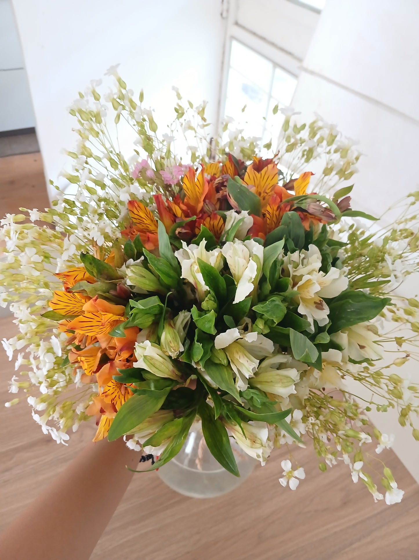 Astromelias Yogurt y Candelas