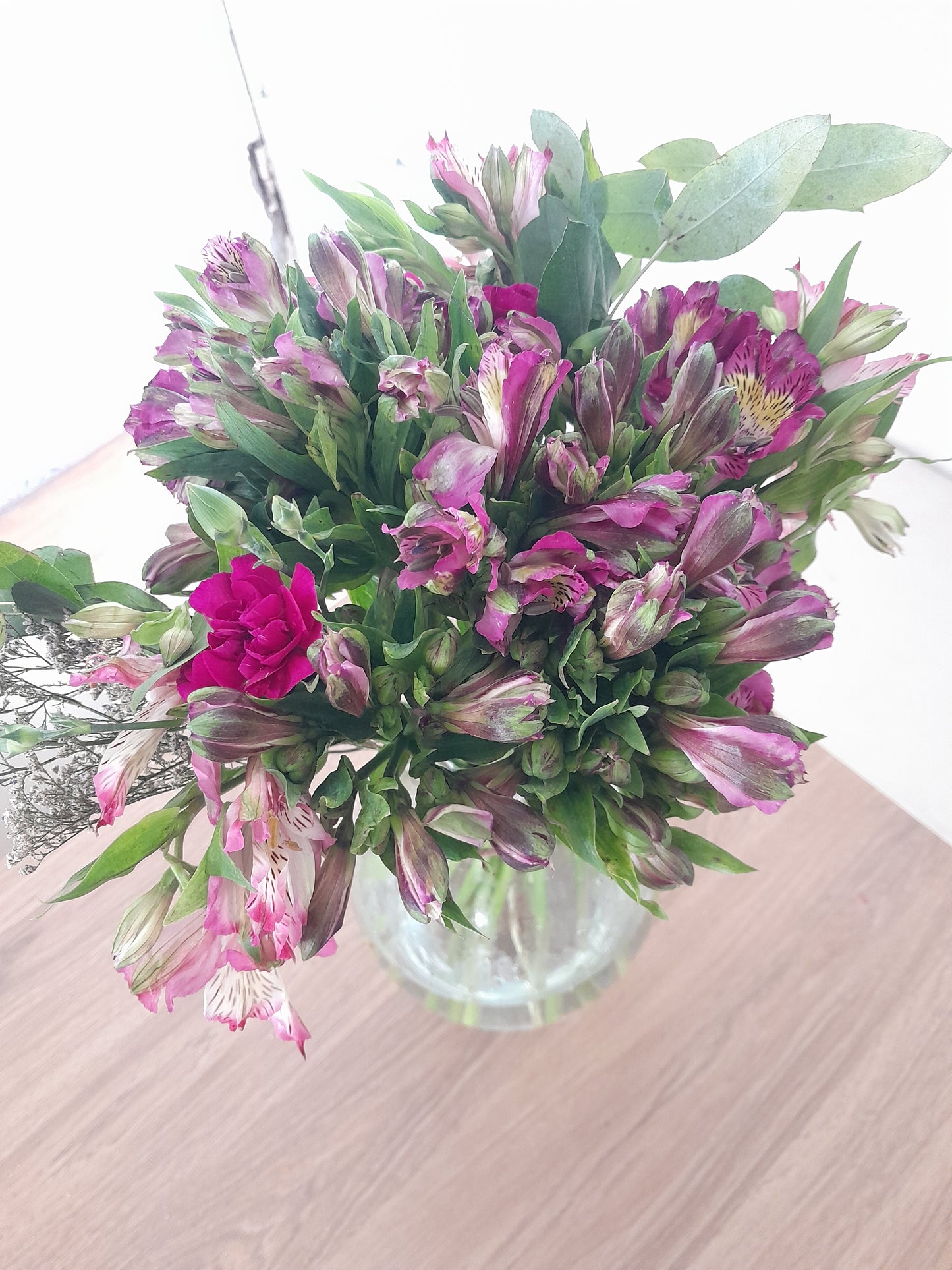 Astromelias Fucsias.