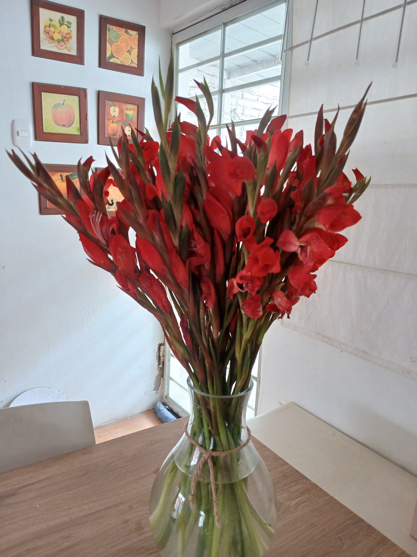 Gladiolos de color rojo