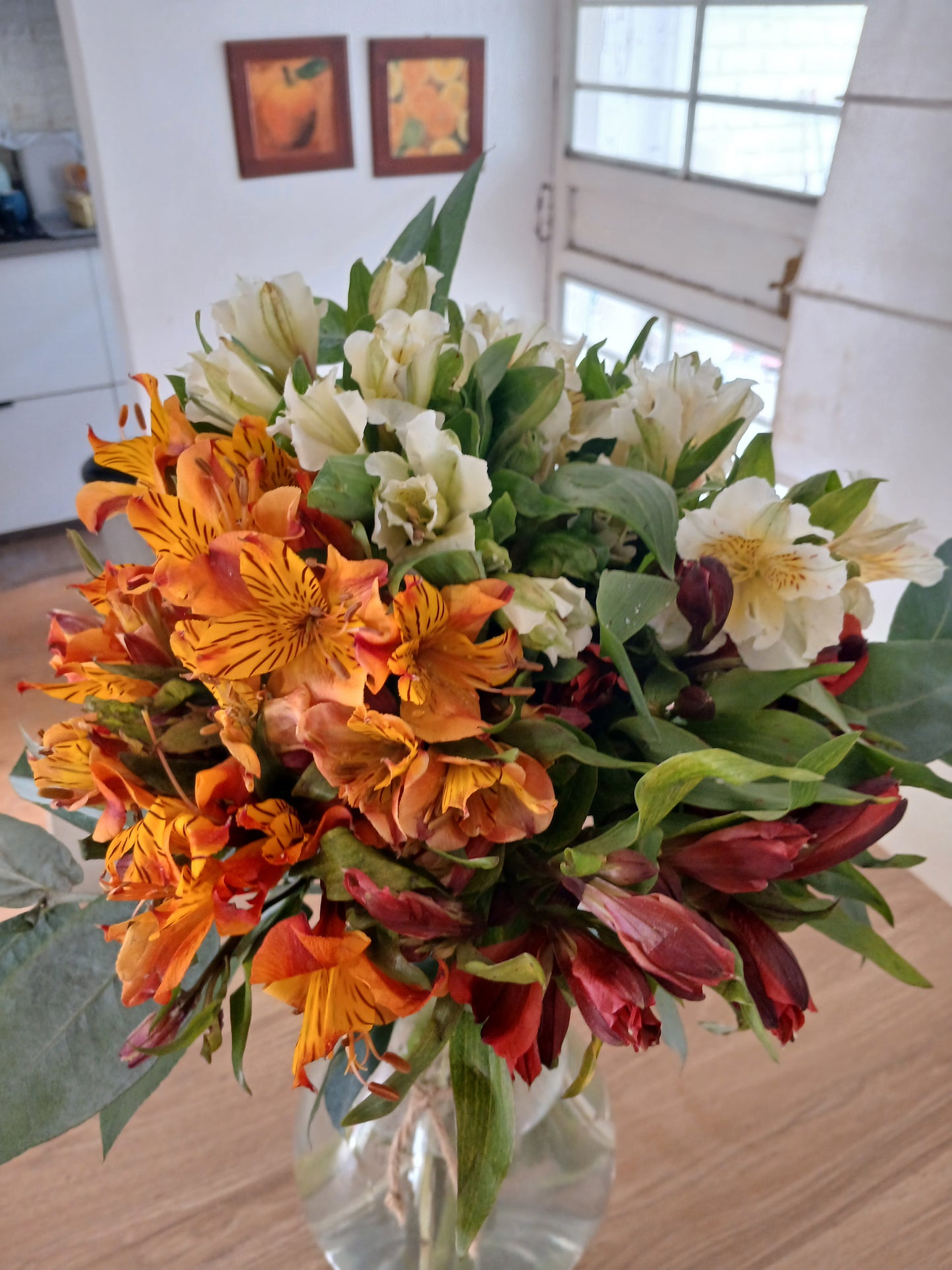 Astromelias de 3 colores